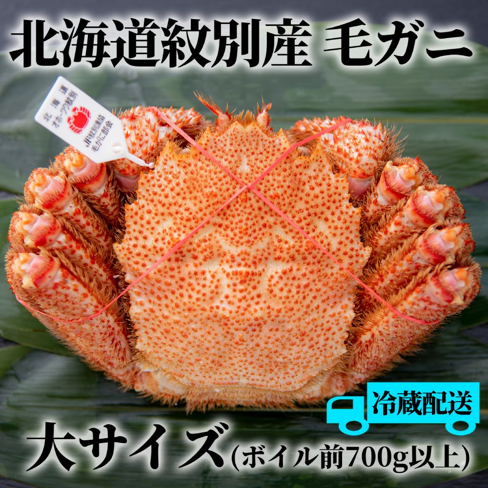 41-9 【期間・数量限定】浜茹で紋別産毛がに（加熱済・チルド冷蔵配送）紋別漁協認証タグ付き大サイズ
